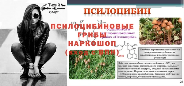 стафф Абаза