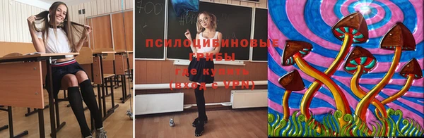 стафф Абаза