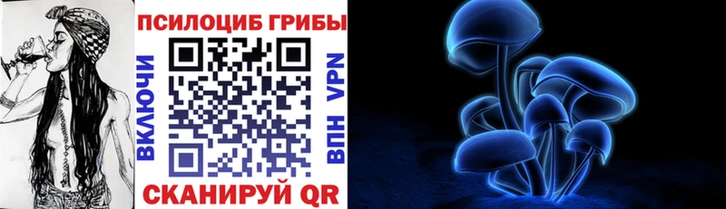 Галлюциногенные грибы Psilocybine cubensis  Лосино-Петровский 